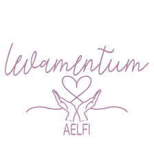 Betreuungsnetzwerk Levamentum Aelfi