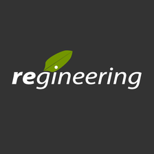 regineering GmbH