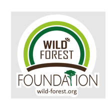 Logo-of-Wild-Forest-hiring-for-jobs-in-Deutschland-on-GrabJobs