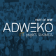 ADWEKO Consulting GmbH