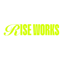 RISE works (Naarden): TALENT & COMMUNITY MANAGER