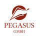 Pegasus GmbH Gesellschaft für soziale/gesundheitliche Innovation