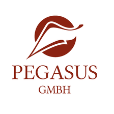 Pegasus GmbH Gesellschaft für sozialegesundheitliche Innovation