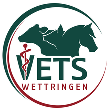 VETS WETTRINGEN - Praxis für Großtiere