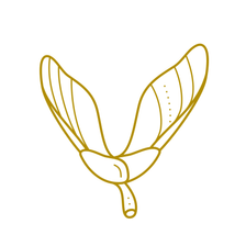 Logo-of-Maple-Aviation-hiring-for-jobs-in-Deutschland-on-GrabJobs