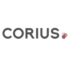 CORIUS Gruppe Karriere