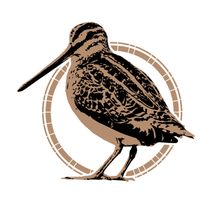Naturforschende Gesellschaft Altenburg e.V.