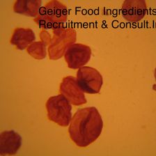 Geiger Food Ingredients Recruitment & Consult