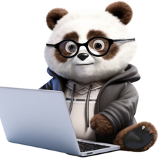 Panda Consulting