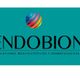 ENDOBION AESTHETIC