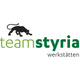 Team Styria Werkstätten GmbH