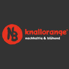 knallorange GmbH Karriere