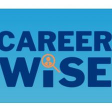 The Careerwise Agency LTD