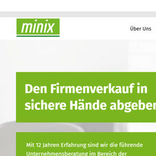 Minix Unternehmensberatung GmbH