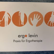 Logo-of-Alesia-Levin-hiring-for-jobs-in-Deutschland-on-GrabJobs