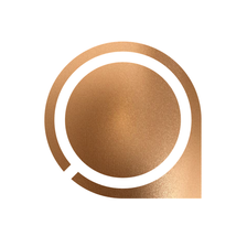 Argus Search GmbH Karriere