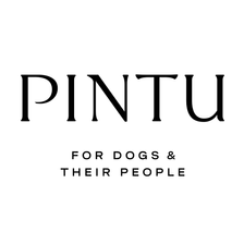 Pintu Design GmbH