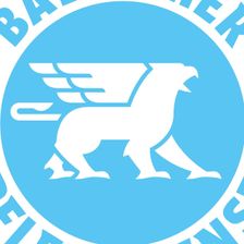Badischer Pflegedienst GmbH