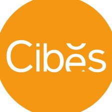 Logo-of-Cibes-Lift-Deutschland-GmbH-hiring-for-jobs-in-Deutschland-on-GrabJobs