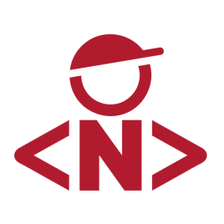 die netzwerker IT Services GmbH