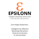 EPSILONN - IA AUTOMATISATION DIGITAL