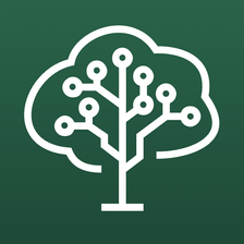 Logo-of-Brainforest-hiring-for-jobs-in-Switzerland-on-GrabJobs