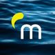 marenas consulting