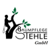 Baumpflege Stehle GmbH