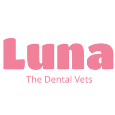 Luna The Dental Vets Careers