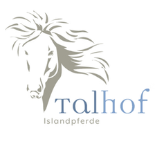 Talhof Karriere